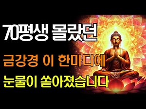 스님이 직접 알려주신 금강경 핵심 요약 | 제상개공 깨달으면 남은 인생이 달라집니다 | 불교 지혜