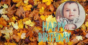 10 Fun Facts About People Born In November