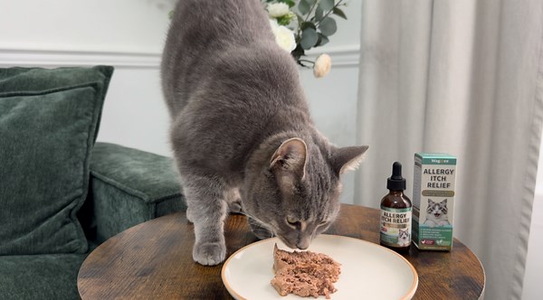 Watch Natural Allergy Relief for Cats, Cat Itchy Skin Allergy Relief on Amazon Live