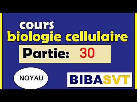 la biologie cellulaire Ep30 : les nucléosomes et compaction de l'ADN