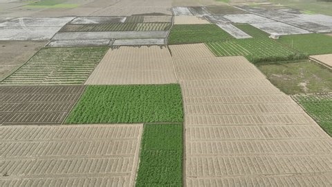 clip-4007532405-aerial-top-view-agricultural-patchwork-fields-rural