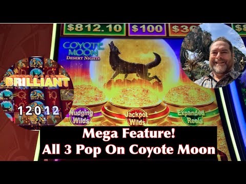 Coyote Moon Comes To Missouri And I Popped A Mega Feature!