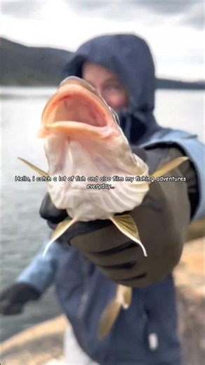 Fjord fishing in Norway | Everyday fishing adventures #fishing