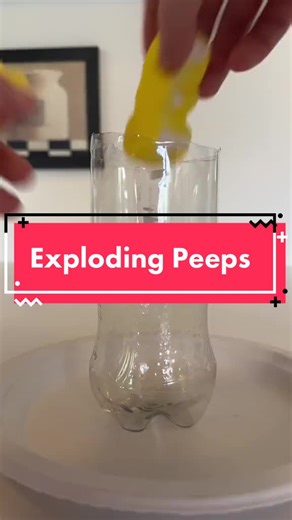 Exploding Peeps Science Experiment! #Science #STEM #ScienceExperiment #ExplodingPeeps