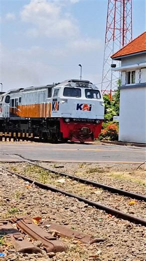 Kereta api di perlintasan Palang Pintu Kereta Api #shorts