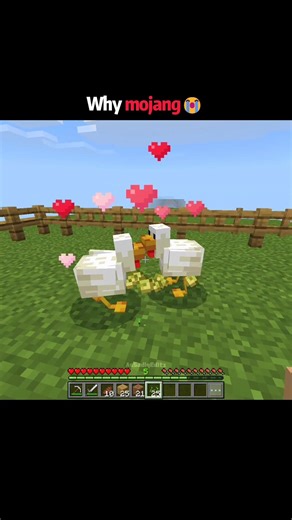 Minecraft chicken moments