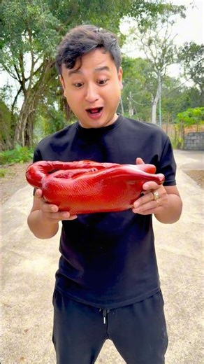 “This Screen Is Trying Its Best… But Failing Hilariously 😂”#funny #shorts