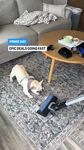 Prime Day deals are moving fast. Epic savings end July 17 😇 Shop now at: https://amazon.visitlink.me/fWN6l3 #PrimeDay 🎥 @graciefriedl on IG | Amazon.com