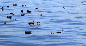 Plastic trash rides ocean currents to the Arctic