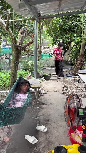 Máy phun sương #tuncuibap #tuncuibap2 #tuncuibap2🌽🌽🌽