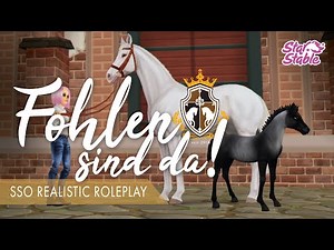 Die Fohlen sind da! ❤️⚜️Zucht Update | Star Stable Realistic Roleplay [DEUTSCH] Elsa Polarstar