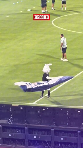 Blu también estrenó jersey 🖤 Cuanta elegancia y porte en el nuevo jersey de Cruz Azul | RÉCORD México