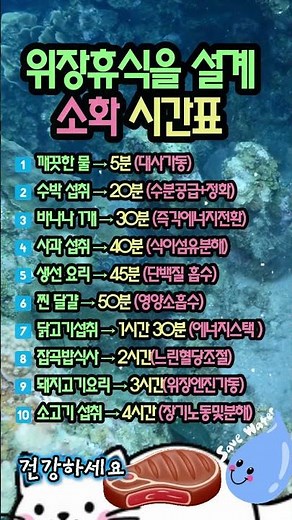 "속이 늘 더부룩한 건 나이 탓이 아닙니다!" 위장 과부하를 막고 수명을 늘려주는 음식별 소화 시간표 10가지 ⏰🍲✨