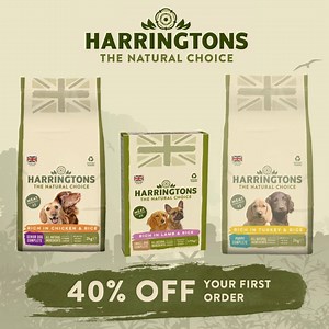 329 reactions · 78 shares | ⭐️ Limited time offer - receive a 40%...