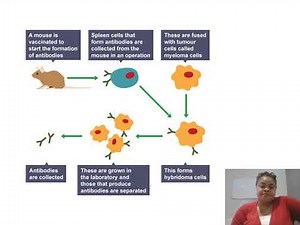 Possible 6 Mark Questions AQA B1 GCSE 2019 Biology Paper 1