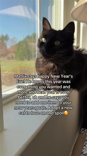 Leo, Ashby and Matrix (@leo.ashby.matrix)’s videos with original sound - Jaypee Lobaton