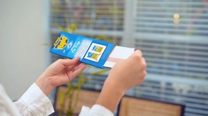 Raid FR10-RAID Raid® Fly/Bug Catcher 10 Count