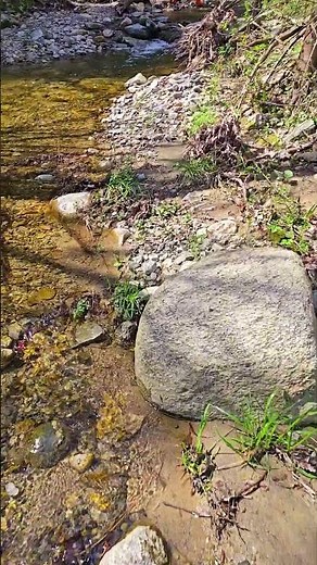 #goldminers #goldpaning #golddigger #goldhunter #goldpanning #goldmines