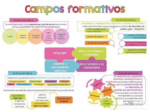 Resumen del Plan de Estudios 2022: Estructura y Metodologías
