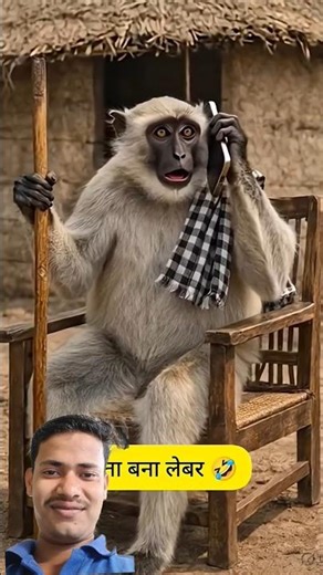 कुत्ता बना लेबर🦮🦮#comedy #tshirtdesign #shilpisaroja #thetharpuns #funny