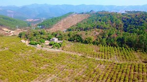 我爱乡村的四季变化，每个季节都有不同的美丽和自然的馈赠。 #冬日绮梦录 #田野风光