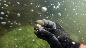 23K views · 1.1K reactions | Today we dive into a nice clear river in search of lost gold rings, iPhones, GoPro's, silver, and any other lost treasures that rest on the river bottom. I was able to return the gold class ring but was not able to figure out who owns the working iPhone that I found. #aquachigger #chiggsarmy | Aquachigger | Facebook