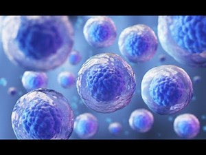 Citoplasma: características y función.