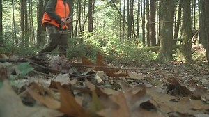 DEC announces start of small game season for hunters