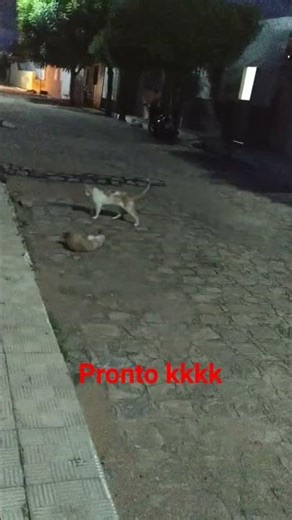 #veja #eita pronto kkkk