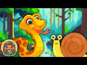 Let's Learn About Some Animals That Crawl! | Animal Songs For Kids | KLT WILD - Videos For Kids