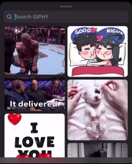 GIF NAMES FINDING 🧠 Viral GIFs | Sanathdas H on Instagram: "gif names finding 77/2000 pittbull @gif_names_finding ✅ . . . . . #dogsofinstagram #ronaldo #funny #football #messi #sarcasm #phonk #sigma #gif #cr7 #cute #meme #entertainment #comedy #trendingreels #tips #gifs #viral #trendingnow #reels #reelsinstagram #comedy #trendingnow #fyp #cristiano #gym #memes #fypシ"