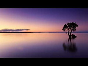 二战期间最优秀的女特工乌苏拉（露丝维尔纳）（二十四）