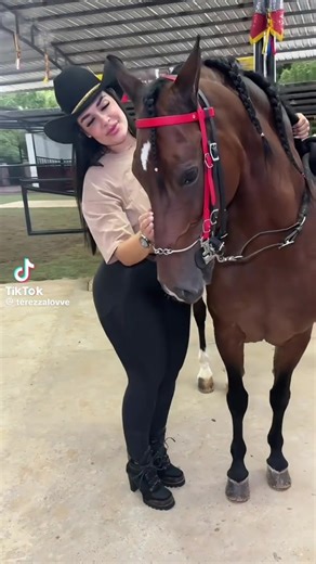 alejandra lopez (@alejandra.lopez8350)’s videos with sonido original - alejandra lopez