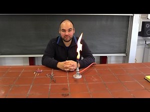 Burner flames and flame zones