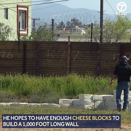 The California artist is building the wall made up of blocks of expired cheese to help "Make America Grate Again." What do you think? Would you support a cheese wall? | KOAT