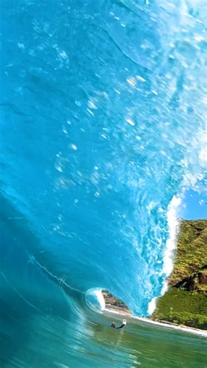 Clear blue ocean wave in Hawaii! #ocean #oceanwaves #clearwater #oceanlife #reels | Dgphotography