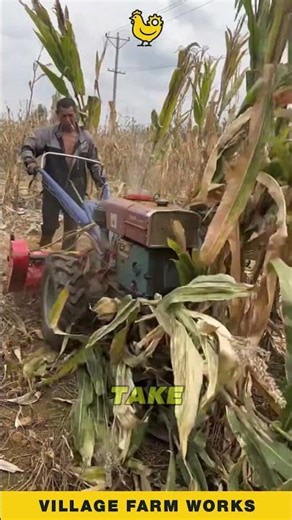 This Tiller Eats Corn Stalks for Breakfast 🌽 #FarmEquipment