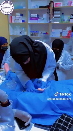 Male Catheter Training for Nursing Students
