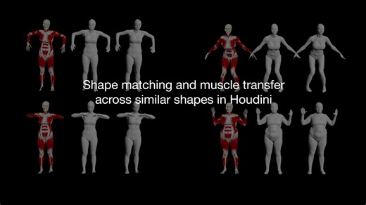 Shape matching in Houdini