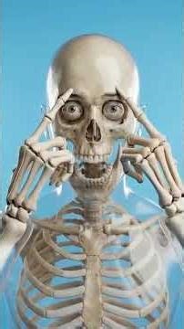 How Long Do Eyebrows Take to Grow Back After Shaving?