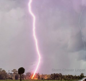 18K views · 52 reactions | FLORIDA LIGHTNING - QUICK FACTS -Florida...