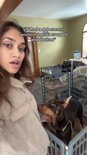 The Importance of Ethical Breeding for Dobermans