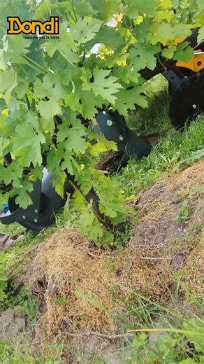 RT VITIS in vigneto | Decompattazione del terreno e migliore gestione idrica