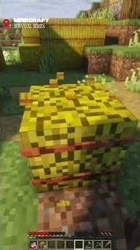 Minecraft Java Edition Survival Series #1 || @X-PearI #shorts