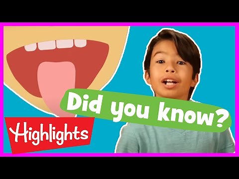 Educational Videos for Kids | 2020 | Fun Learning Videos for Kids | Did You Know? | Highlights Kids