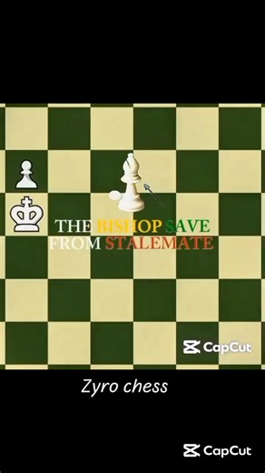 The Bishop Saves the Game from Stalemate! ♟️🔥 #Shorts