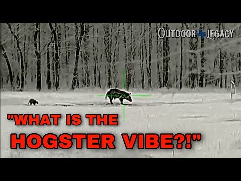 Bering Optics Hogster R vs. Hogster Vibe