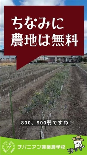農地が無料？52歳システムエンジニアが選んだ人生 #新規就農 #兼業農家