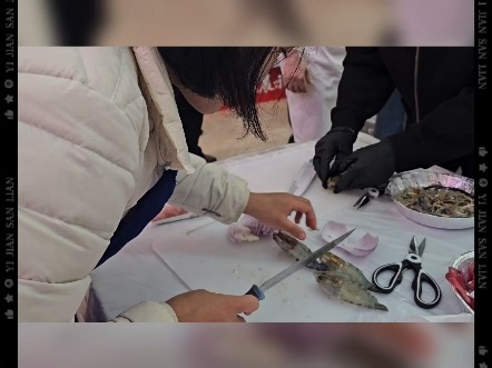 厨神大赛之女神夺冠！