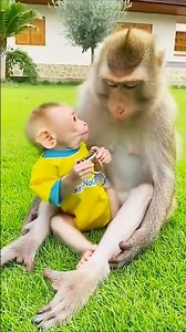 Funny Monkey Prank on Mom 😂 | Unexpected Escape Attempt! #funny #funnyprank #trendingshorts